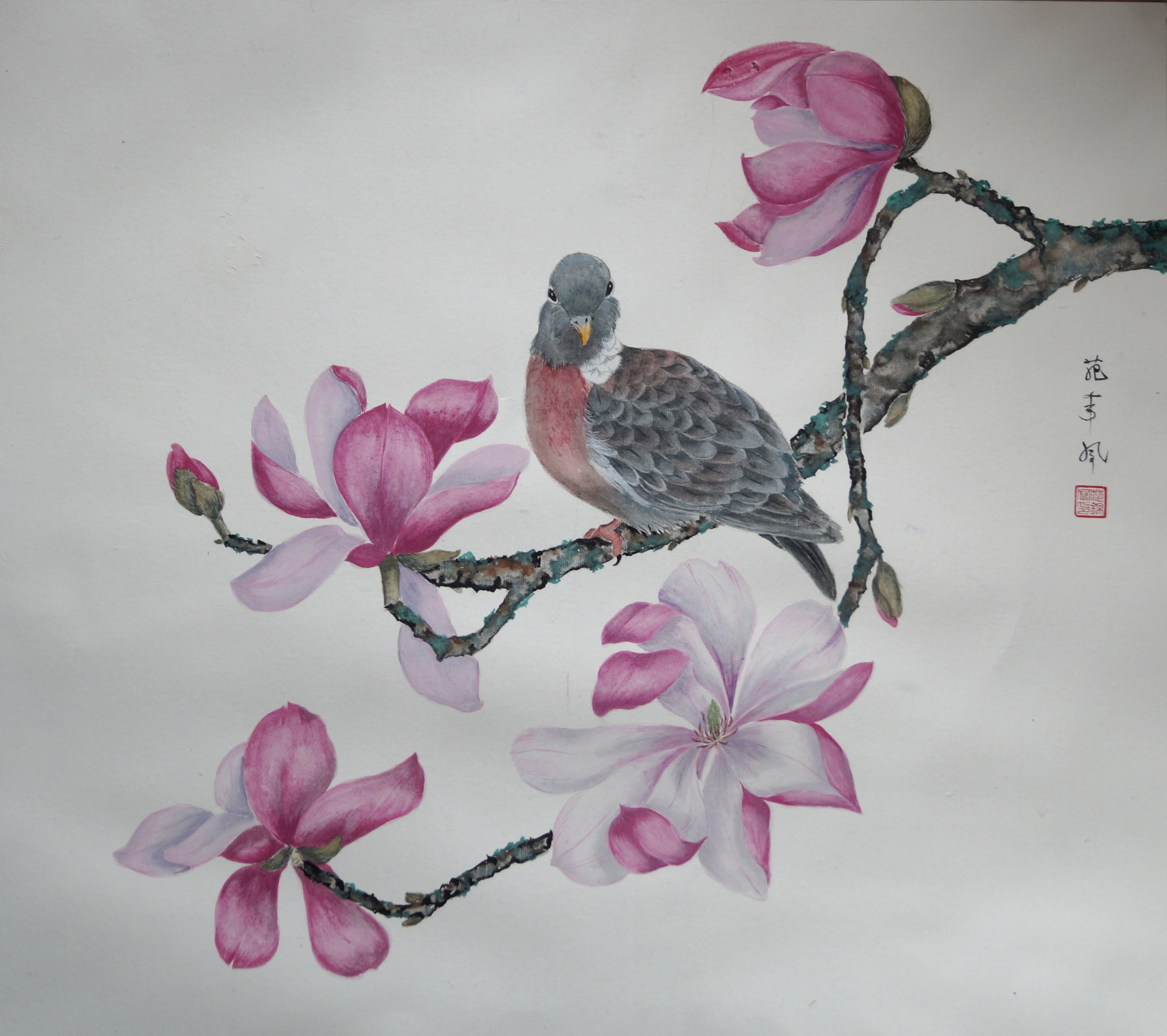 Magnolia with pigeon